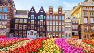 Where to Stay in Amsterdam (Updated 2024)