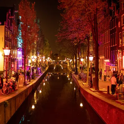 What Is Amsterdam Like Now? Covid Travel Tips, Culture, and Food - Bloomberg