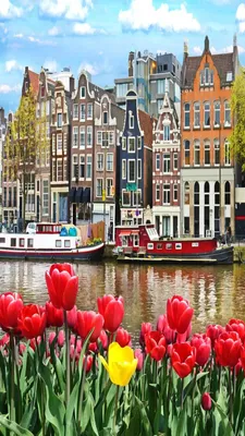 Free Tour of Amsterdam - SANDEMANs NEW Europe