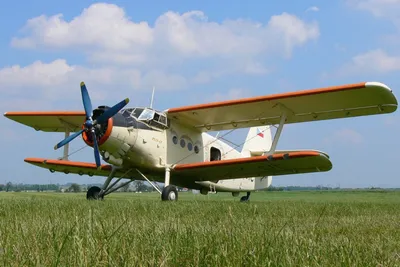 В России вновь начнут выпускать Ан-2 - «кукурузник» | Obshchaya Gazeta