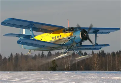 Пропавший более недели назад Ан-2 обнаружили в Иркутской области - 