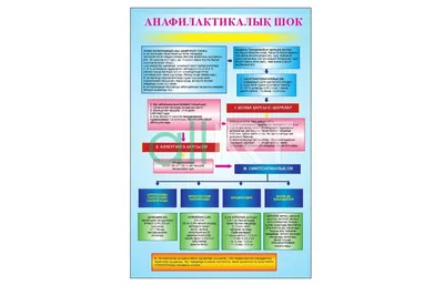 Анафилактический шок 2023 [CDR] – 