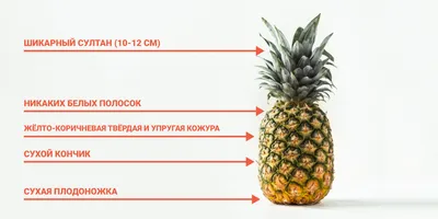 Сегодня отмечается Всемирный день ананаса | Саратов 24