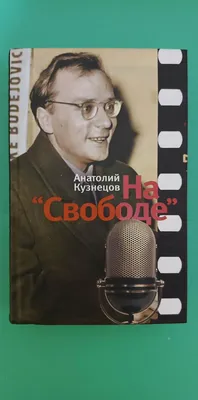 Иллюстрация 25 из 27 для Бабий Яр - Анатолий Кузнецов | Лабиринт - книги.  Источник: Айнатсирт