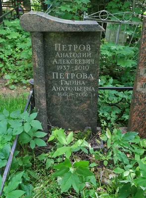 Алиса Фрейндлих и Андрей Могучий на вечере в честь 85-летия Олега  Басилашвили | 