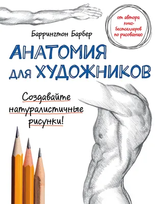 АНАТОМИЯ ХУДОЖНИКА #1 Типы костей, мышц и суставов. Пропорции скелета. ЁНЕ  БАРЧАИ - YouTube