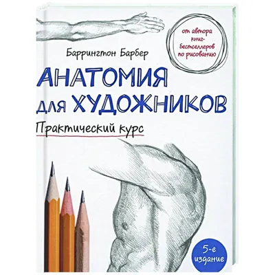 Фигура человека для художника. Большая книга анатомии, референсов и  художественных поз - купить книгу с доставкой в интернет-магазине  «Читай-город». ISBN: 978-5-00-195551-1