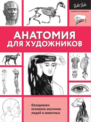 Анатомия фигуры человека | Anatomy of Human Figure by 4 art Ltd - Issuu