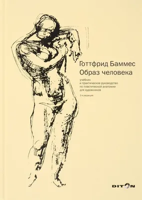 Лучшие книги по анатомии для художников | Искусство и творчество от  svetlaya.z | Дзен