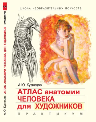 анатомия человека для художников — Blog — Ghenadie Sontu Fine Art