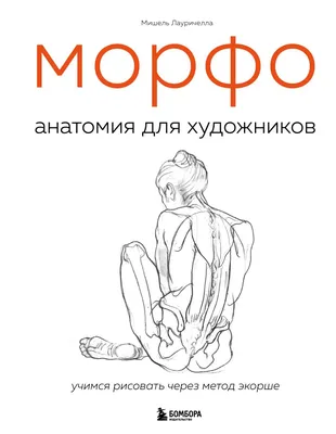 Книга МОРФО Анатомия для художников Мишель Лауричелла - купить от 1 150 ₽,  читать онлайн отзывы и рецензии | ISBN 978-5-04-116113-2 | Эксмо