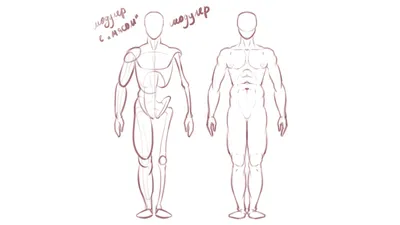 Проблемы в рисовании и пластической анатомии 2D художников.