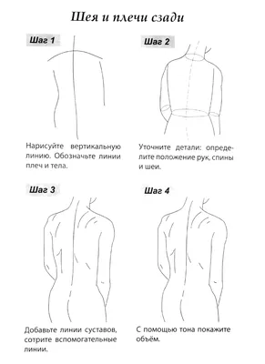 творческая нора: Анатомия человека