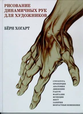 Книга "Творческий курс по рисованию. Анатомия человека" - Грей | Купить в  США – Книжка US