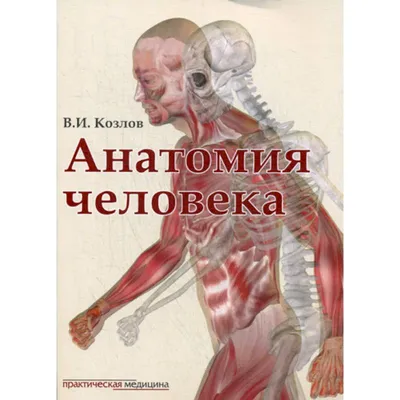 Иллюстрация 7 из 16 для Анатомия человека: русско-латинский атлас - Билич,  Крыжановский | Лабиринт - книги. Источник: