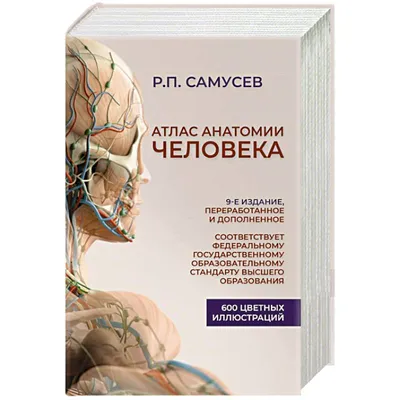 Набор для опытов «Строение тела», анатомия человека — купить в  интернет-магазине по низкой цене на Яндекс Маркете