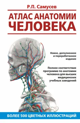 Анатомия человека. Атлас в 3-х томах. Том 3. Нервная система. Органы чувств  — купить книги на русском языке в DomKnigi в Европе