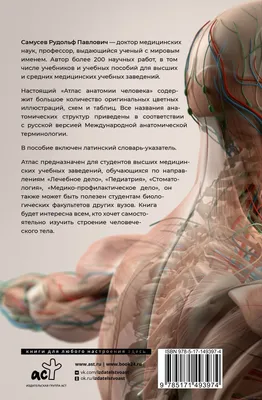 Пищеварительная система : нормальная анатомия | e-Anatomy