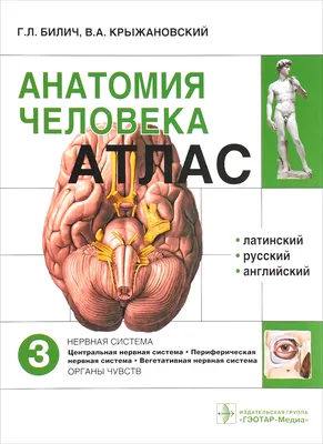 Сапин М.Р., Никитюк Д.Б., Клочкова С.В. "Анатомия человека. Учебник для  педиатров" в 2-