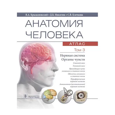 Атлас анатомии человека (Сергей Лёвкин) - купить книгу с доставкой в  интернет-магазине «Читай-город». ISBN: 978-5-17-150140-2