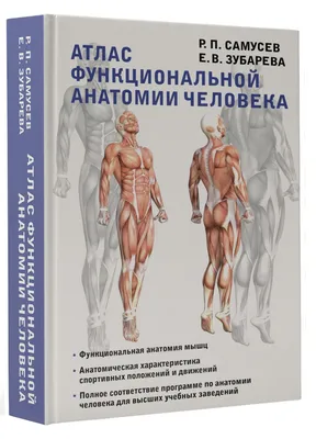 Атлас функциональной анатомии человека. | Самусев Рудольф Павлович,  Зубарева Елена Владимировна - купить с доставкой по выгодным ценам в  интернет-магазине OZON (705428409)