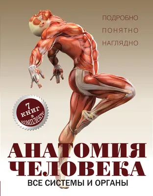  - Анатомия человека.Т.2.Внутренние органы.В 3х томах |  Колесников Л. | 978-5-9704-5775-7 | Купить русские книги в  интернет-магазине.