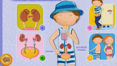 анатомия детей для художников: 10 тыс изображений найдено в  Яндекс.Картинках | Figure drawing, Body action, Drawings