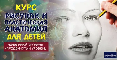 Картинки внутренние органы человека для детей - 15 фото