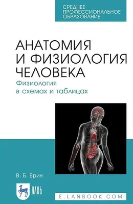 Анатомия и физиология человека - купить книгу в интернет-магазине CentrMag  по лучшим ценам! (00-01007798)