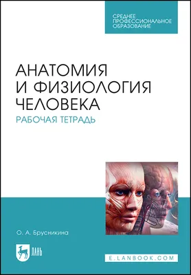 Рабочая тетрадь по учебной дисциплине «Анатомия и физиология человека».  Учебное пособие, , Лань купить книгу 978-5-8114-6528-6 – Лавка Бабуин,  Киев, Украина