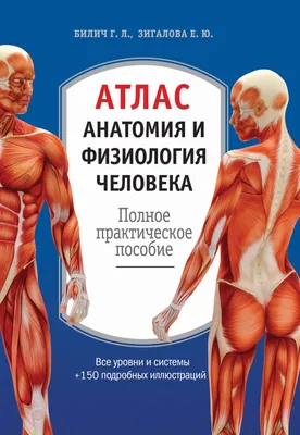 Книга "Атлас. Анатомия и физиология человека: полное практическое пособие."  - купить в Германии | 