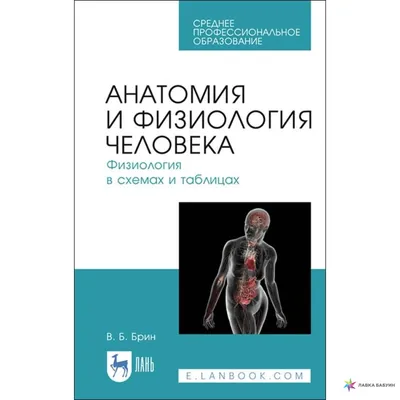 Атлас анатомии и физиологии человека. Учебное пособие для студентов  учреждений среднего профессионального образования. Сентяб, Самусев Р.П. —  купить книгу в Минске — 