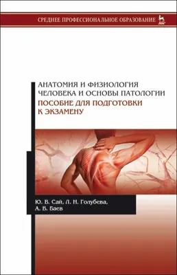 анатомия человека Анатомия человека - Анатомия и физиология человека его  строение и функции органов #yandeximages | Анатомия, Эндокринная система,  Тело