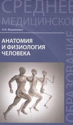 Анатомия и физиология человека: учебник (Николай Федюкович) - купить книгу  с доставкой в интернет-магазине «Читай-город». ISBN: 978-5-22-238879-2