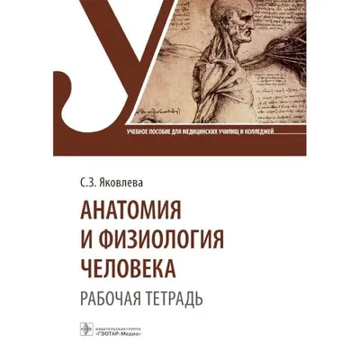 Анатомия и физиология человека. Словарь терминов и понятий, Сай Ю.В.,  Кузнецова Н.М., Издательство Лань, 2023 г. - купить книгу, читать онлайн  ознакомительный фрагмент