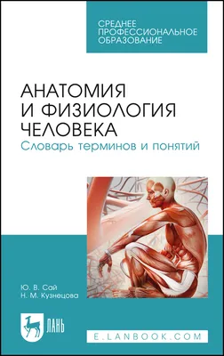 Анатомия и физиология человека. Рабочая тетрадь. Учебное пособие, , Лань  купить книгу 978-5-8114-2200-5 – Лавка Бабуин, Киев, Украина