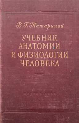 Учебник анатомии и физиологии человека | Электронная библиотека