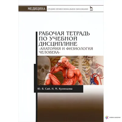 Анатомия и физиология человека: Учебник Издательство Феникс 4729065 купить  за 748 ₽ в интернет-магазине Wildberries