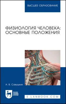 Физиология человека: основные положения, Савушкин А. В., Издательство Лань,  2023 г. - купить книгу, читать онлайн ознакомительный фрагмент