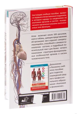 Книга Анатомия и физиология человека с основами общей патологии (Швырев  А.А.) 2015 г. Артикул: 11182139 купить