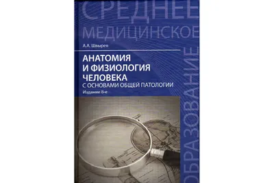 Атлас анатомии и физиологии человека. Учебное пособие для студентов  учреждений среднего профессионального образования Рудольф Самусев, Николай  Сентябрев : купить в Минске в интернет-магазине — 