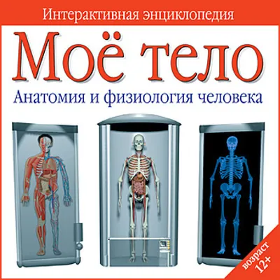 Анатомия и физиология человека: Учебное пособие Мир и образование 35815543  купить в интернет-магазине Wildberries