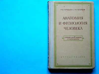 Анатомия и физиология человека. Учебник для СПО (Гайворонский Иван  Васильевич, Гайворонский Алексей Иванович, Николенко Владимир Николаевич,  Ничипорук Геннадий Иванович) ГЭОТАР-Медиа (ISBN 978-5-9704-4594-5) купить  от 8133 руб в Старом Осколе, сравнить ...