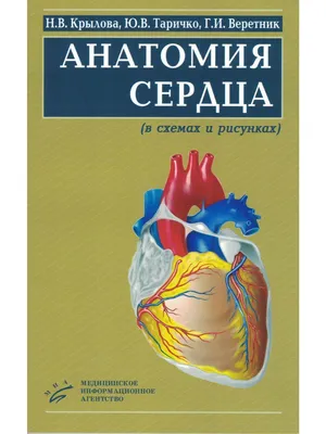 Иллюстрация 16 из 18 для Анатомия человека в таблицах и схемах. Учебное  пособие - Олег Калмин |