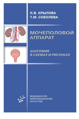 Мозг и проводящие пути. Анатомия человека в схемах и рисунках. Учебное  пособие, Нина Крылова. Купить книгу за 226 руб.