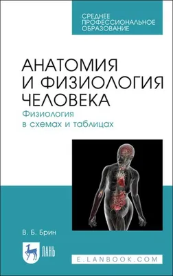 Брин В.Б. Анатомия и физиология человека. Физиология в схемах и таблицах.  Учебное пособие для СПО — купить с доставкой по выгодным ценам в  интернет-магазине Книганика