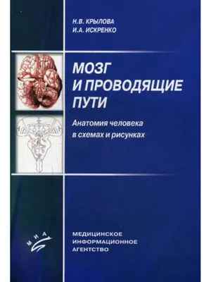 МИА Мозг и проводящие пути. Анатомия человека в схемах и рис...