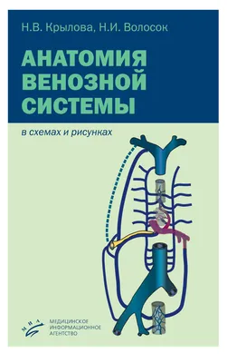 Анатомия и физиология человека. Физиология в схемах и таблицах. Учебное  пособие, , Лань купить книгу 978-5-8114-7040-2 – Лавка Бабуин, Киев, Украина