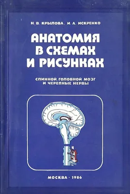 Иллюстрация 1 из 18 для Анатомия человека в таблицах и схемах. Учебное  пособие - Олег Калмин |