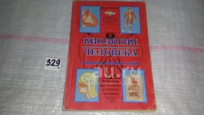 Анатомия венозной системы. В схемах и рисунках. Гриф УМО по медицинскому  образованию - Волосок Н. И., Купить c быстрой доставкой или самовывозом,  ISBN 978-5-89481-481-0 - КомБук ()